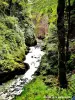 Gorges Langouette ( © Jean Espirat )