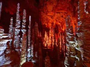 Aven Armand - Grube 100 Meter unter der Erde