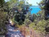 Coastal Trail North (© Jean Espirat)