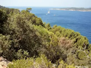 Port Cros sah die Spur Coastal North (© Jean Espirat)