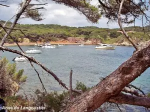 Porquerolles - Anse Langoustier (© Jean Espirat)