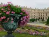 Paleis van Versailles (© Frantz)