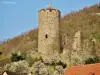 Le château, vu de la ville (© Jean Espirat)