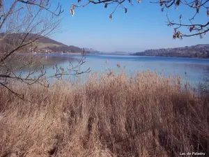 Lac de Paladru (© Jean Espirat)