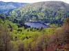 Lac de Blanchemer (© Jean Espirat)