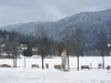 Lago Gérardmer in inverno