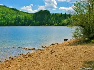 Lago Issarlès (© Jean Espirat)