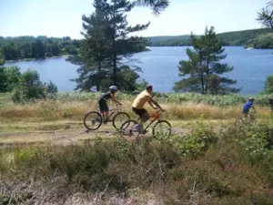 Andar de bicicleta no Lago