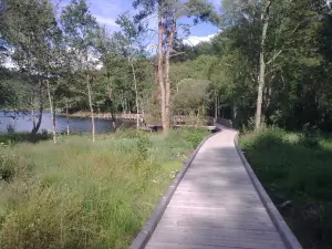 Pasarela en las orillas del rastro