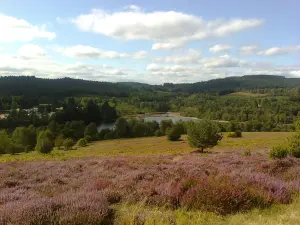 Puy del páramo Cruz, vista panorámica del lago