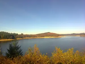 Autumn Lake Vassivière