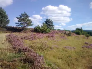 Trayectoria en los páramos