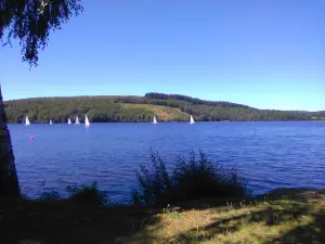 Regatas en el lago, el cambio completo de escenario!