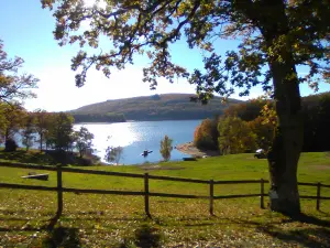 Isla vassivière en el otoño