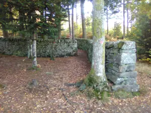 Pared de piedra seca