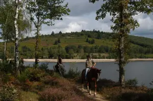 passeio a cavalo