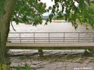 Bridge not far from the beach ( © Jean Espirat )