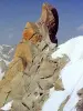 Vista desde el Aiguille du Midi (© Jean Espirat)