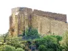 Collobrières - Rovine dell'antica chiesa di Saint-Pons (© J.E)