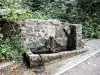 La fontaine de Nans, le long du sentier montant au sanctuaire (© J.E)