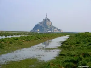 La mer submerge les herbes (© Jean Espirat)