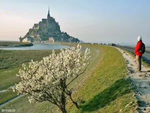 Lente op de berg (© Jean Espirat)