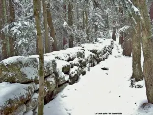 Pagan wall under the snow (© J.E)