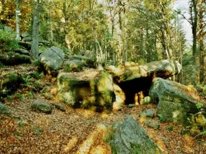 Caverna dos Druidas (© J.E)