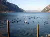 Nantua Lake