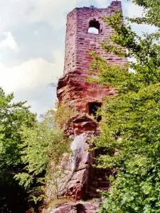 Ruins of the castle Wasigenstein (© Jean Espirat)