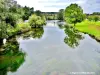 Montbozon - The Ognon seen from the bridge (© Jean Espirat)