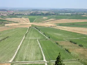 Vue depuis l'oppidum d'Ensérune (© Frantz)