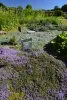 Jardin de plantes condimentaires du potager du château d'Acquigny