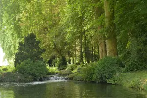 Cascatelle et son manteau de platanes dans le parc du château d'Acquigny