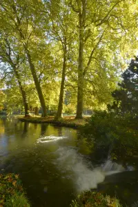 La cascatelle et son bassin (château d'Acquigny)