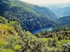 Lac Altenweiher (© Jean Espirat)