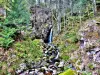 Cascade du Saut de la Truite - Malvaux, route du ballon d'Alsace (© J.E)