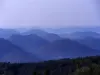 L'Alsace Bossue vue du Grand Wintersberg (© Jean Espirat)