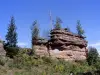 Rochers troués - Baerenthal (© Jean Espirat)