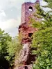Ruines du château du Wasigenstein (© Jean Espirat)