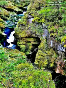 Gorge a monte del ponte sulle perdite dell'Ain ( © Jean Espirat )