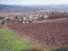 Panorama Hautvillers e Epernay (© Jean Espirat)