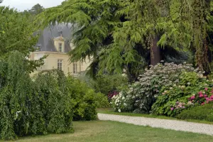 Castelo Acquigny através das hortênsias e rododendros
