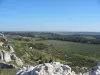 Alpilles con vistas a los olivares - Maussane-les-Alpilles