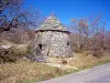Forcalquier - Un Borie ( © Jean Espirat )