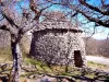 Forcalquier - Un Borie ( © Jean Espirat )