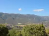Luberon de Saint- Martin -de- Castillon