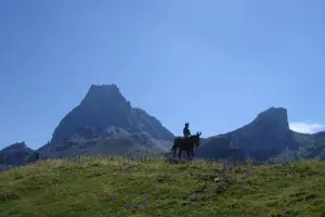 Vallée d'Ossau