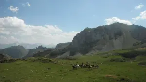 Sur les crêtes de Sède de Pan