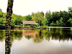 Chalet en bord d'étang, près d'Ecromagny (© Jean Espirat)